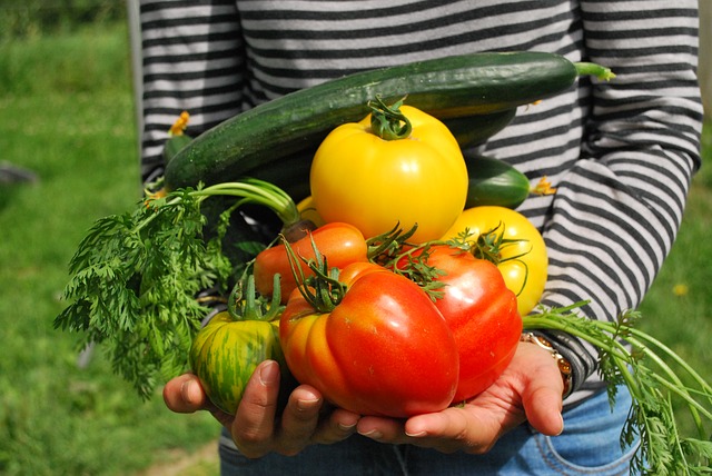 אילו ירקות יכולים לשתול בגינה אורגנית?